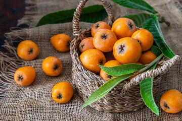 Loquats on a basket on background. 	Medlar fruits and leaves 