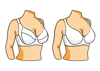 Two types of bra on a mannequin