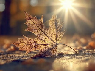 A highly detailed close-up of a maple leaf under a microscope, showcasing intricate vein structures and delicate cellular patterns. Warm evening lighting casts a golden glow, creating a soft contrast