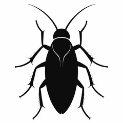 Beetle black vector on white background.