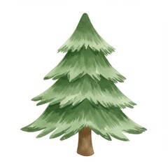 Fototapeta premium Watercolor Painting of a Green Fir Tree on White
