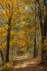 Beautiful Autumn scenery along Spencer Gorge hiking trail in Hamilton, Ontario, Canada
