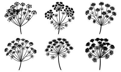 Fototapeta premium Dill silhouette vector