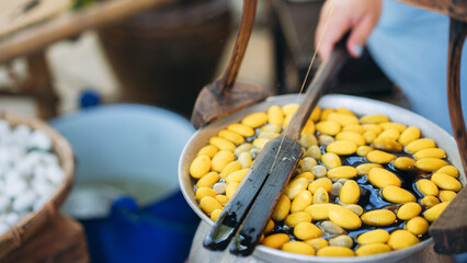 Handcrafted Elegance: Extracting Silk Threads the Traditional Way.