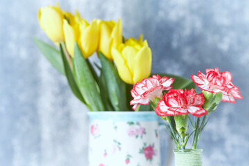 Carnation flowers and yellow tulips on bright background