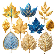 Gold and Blue Autumn Leaves Collection on Transparent background