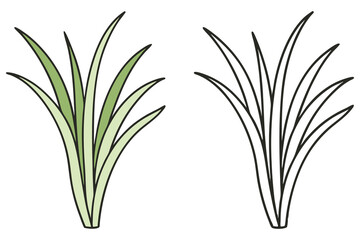 Cartoon grass illustration features a colorful version and a simple black outline alongside each other
