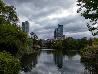 View to a lake and trees in the city