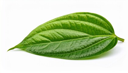 Obraz premium green betel leaf isolated on the white background