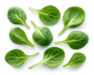 lambs lettuce leaves scattered isolated background fresh green salad ingredient