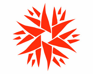 Orange flower vector illustration on white background 