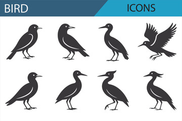 Birdwatching and Avian Icon Set for Nature Lovers