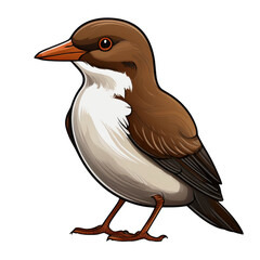 Obraz premium A Detailed Illustration of a Brown and White Bird a Stunning Avian Artwork Perfect for Nature Projects and Designs