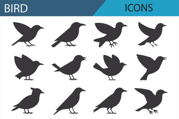 Bird Silhouettes and Flight Icons for Nature Themes