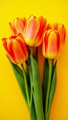 Fototapeta premium ibrant Orange Tulip Bouquet Against Bright Yellow Background