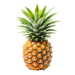 Fresh Pineapple Juicy Sweet  Ready to Eat on Transparent background