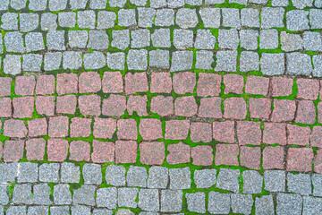 Patterns of Cobblestones With Patches of Moss in a Urban Walkway