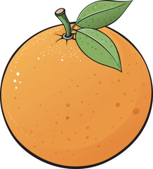 vector illustration of an orange isolated on a white background