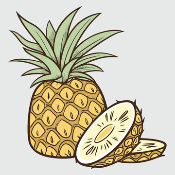 pineapple fruit, sliced, cartoon style clip art preview
