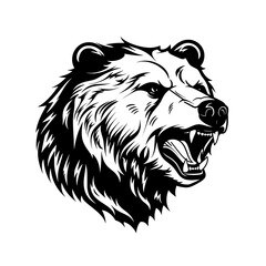 Angry Bear Head Vector Illustration