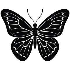 A vector illustration presents a butterfly, an elegant insect of nature, with detailed wings, isolated against a clean white background, showcasing its beauty and design