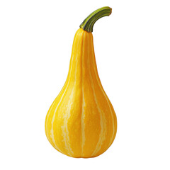 Yellow gourd with green stem on transparent background
