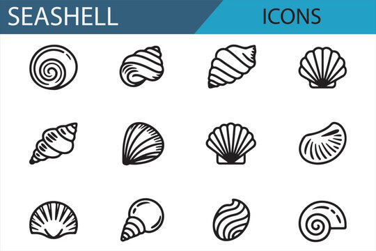 Icon Set Representing Various Seashell Designs for Coastal, Ocean, and Beach Graphics