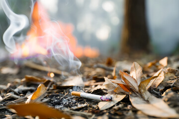 Smoldering cigarette butt causing wildfire in dry leaves, forest fire prevention and environmental protection concept