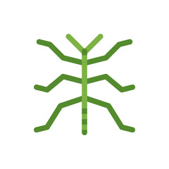 Stylized green stick insect with long limbs and a vertical body on a white background illustration
