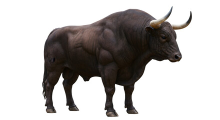 Fototapeta premium A dark brown bull with large horns standing in a dark environment with a black background around 