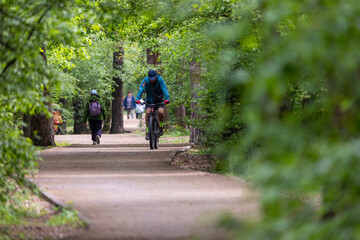 Obraz premium A health trail winds through a forest park near a large city. The structured pathway is designed for walking and outdoor exercise, surrounded by lush greenery and tall trees.