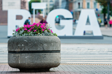Flowers in a stone planter with a large sign in Riga during a sunny day