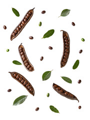 Dark Roasted Coffee Beans Falling Freshly Harvested Aromatic Rich Intense Flavor Studio Shot