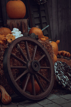 Pumpkin season