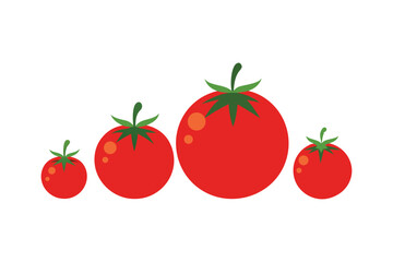 Fresh Tomato Vector Set Design
