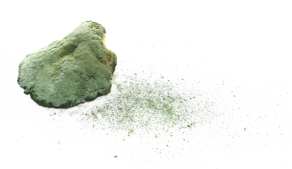 Moldy piece of lemon peel and green fungal spores isolated on white background, Aflatoxins (Mycotoxins) fungal poisons