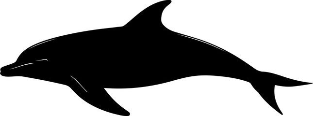 illustration of a dolphin swimming