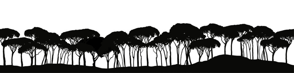 Seamless vector landscape with subtropic pine tree silhouettes.