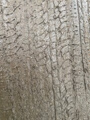 Wet Mud with Tire Tracks Close-Up – Dirty Road Texture, Grunge Soil Background, Off-Road Pattern, Natural Surface for Design or Compositing
