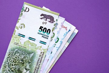 Argentine pesos money bills in big amount lies on purple color table close up