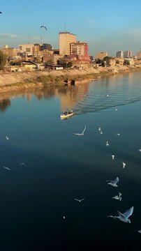 view of seagulls and a boat on Tigris river in Baghdad Iraq