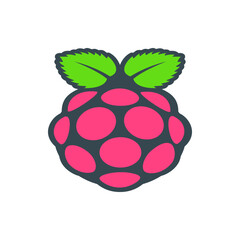 Illustration of a stylized raspberry with green leaves and pink segments against a white background