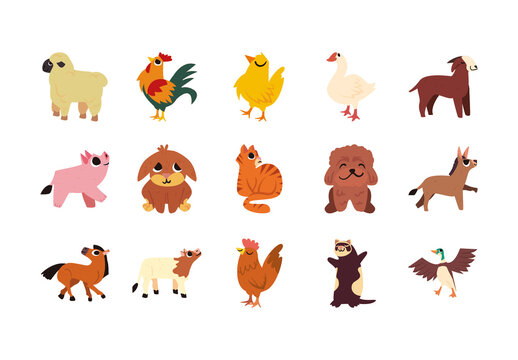 Colorful Cute Farm Cat Bird Pig Horse Animals Set