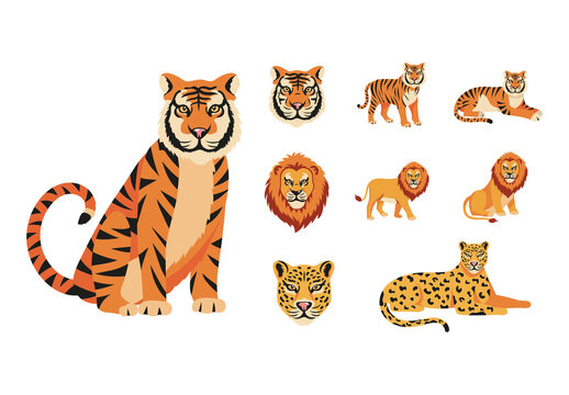 Orange And Black Tiger Lion Leopard Stickers Set