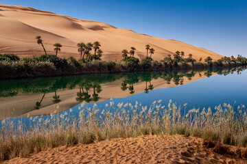 Um el Maa Oasis in the south of Libya in the sahara desert