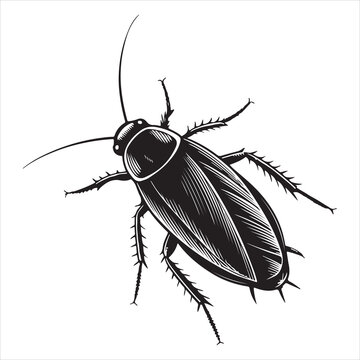 A cockroach's minimalist black silhouette in format