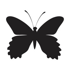 A clean vector butterfly silhouettes on a white background in black with simple and detailed wing patterns