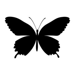 A clean vector butterfly silhouettes on a white background in black with simple and detailed wing patterns