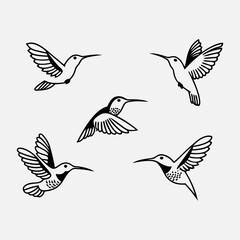 set of vector birds