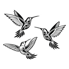 Obraz premium Hand drawn hummingbird outline illustration